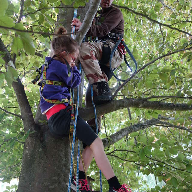 Initiation à la grimpe d'arbre - Groupe