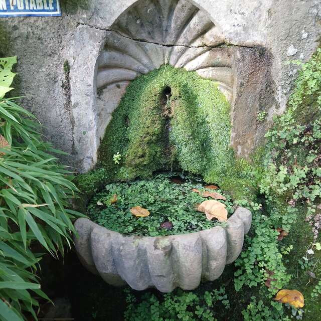 La Fontaine du Parc des Cordeliers d'Anduze