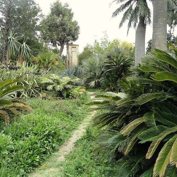 Jardin de la Villa Thuret