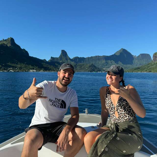 Moorea Reo Tours - Whale watching tours