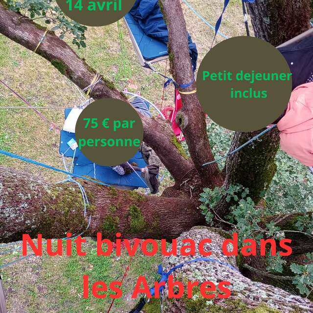 Bivouac nuit dans les arbres