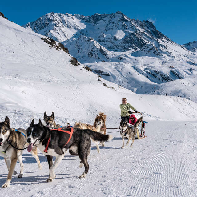 Balade en chiens de traineau sur le Plateau de Retord avec Rêve Nordique