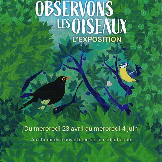Exposition "Observons les oiseaux"