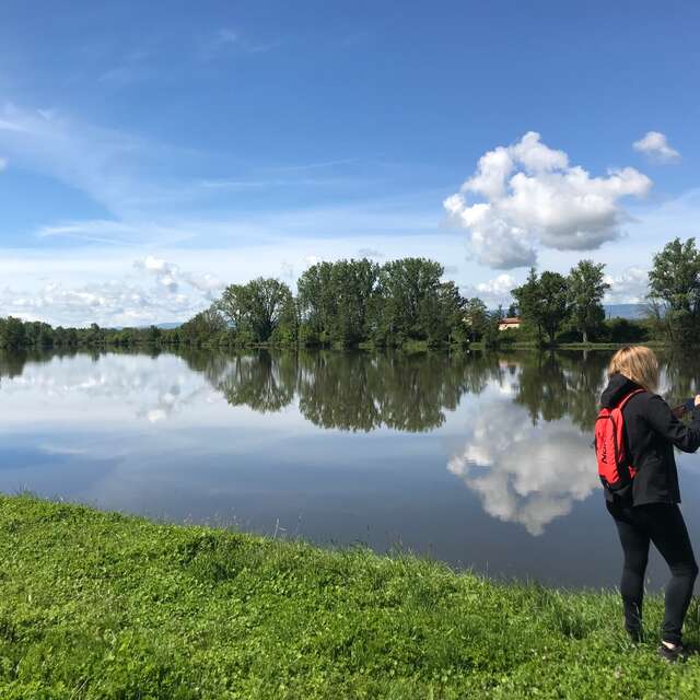 15ème marche en bordure de Loire