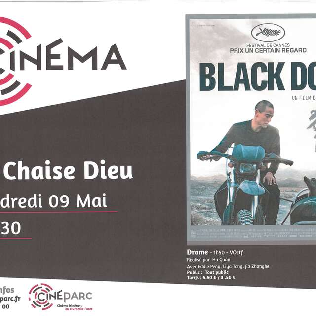 Séance de cinéma : «Black Dog» (VOstf)