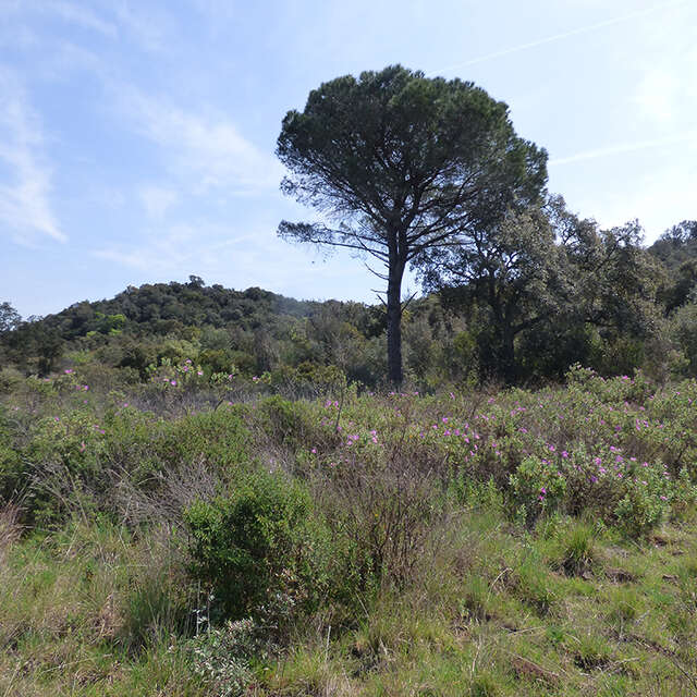 À la découverte du site du Bombardier à Fréjus