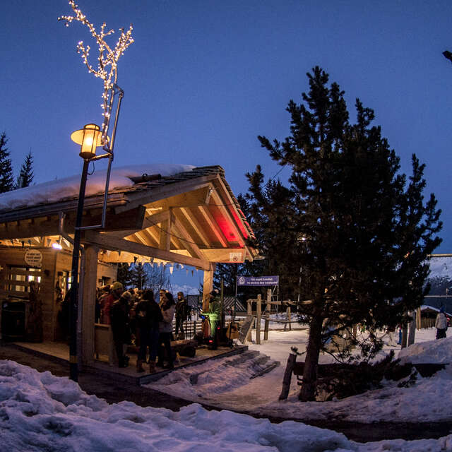 Disco glace et mascotte à la patinoire