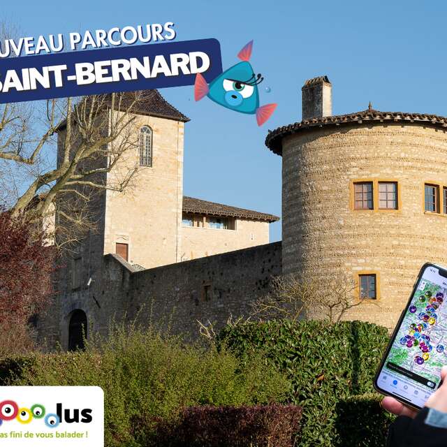 Les Gnolus - Arrête-la si tu peux