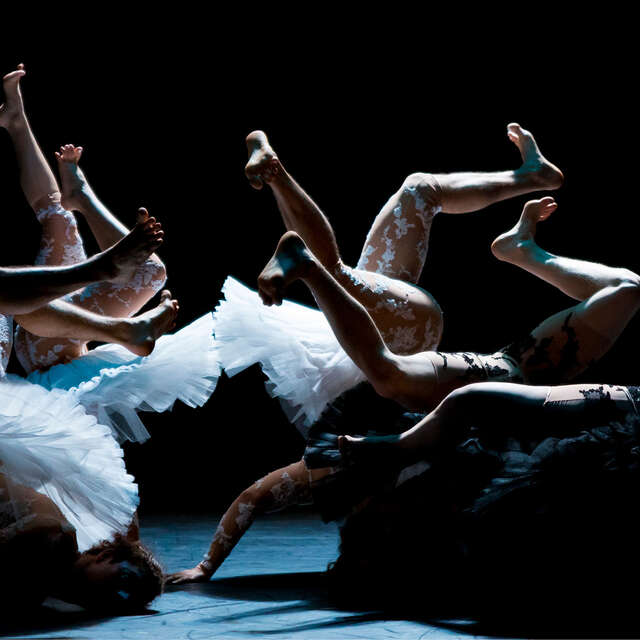 Cirque Chorégraphié : Le Lac des Cygnes