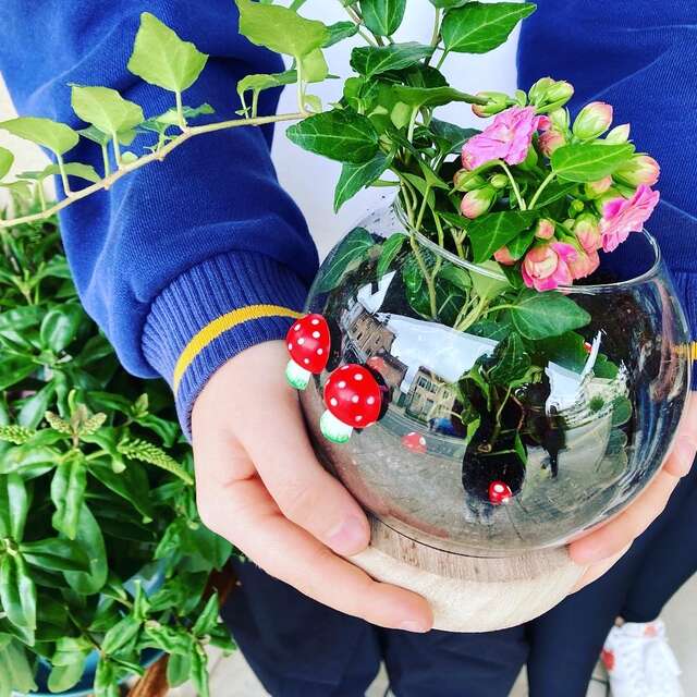 Atelier terrarium pour les enfants à partir de 5 ans