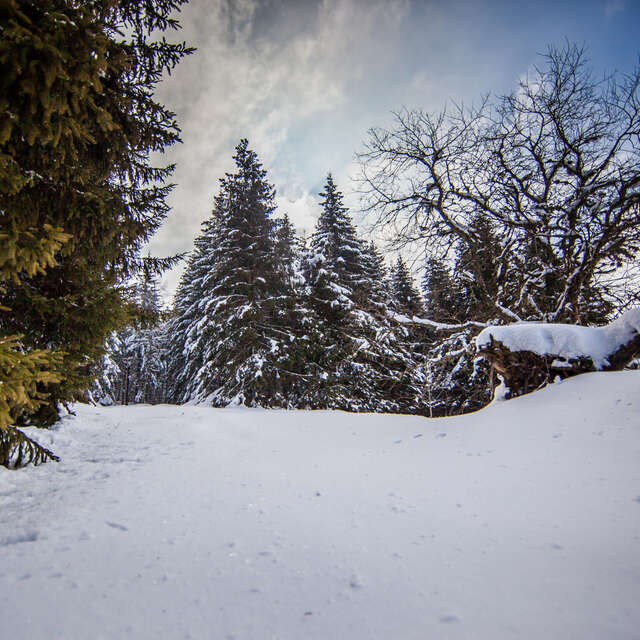 Domaine nordique du col du Béal