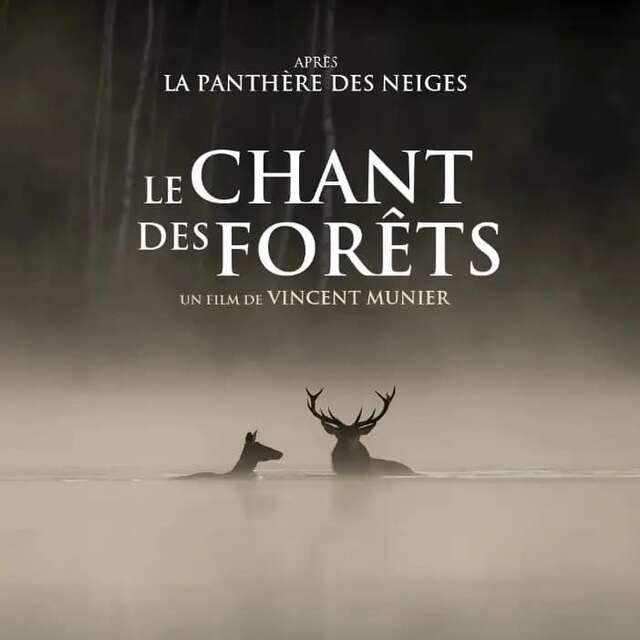 Séance de cinéma "Le chant des forêts "