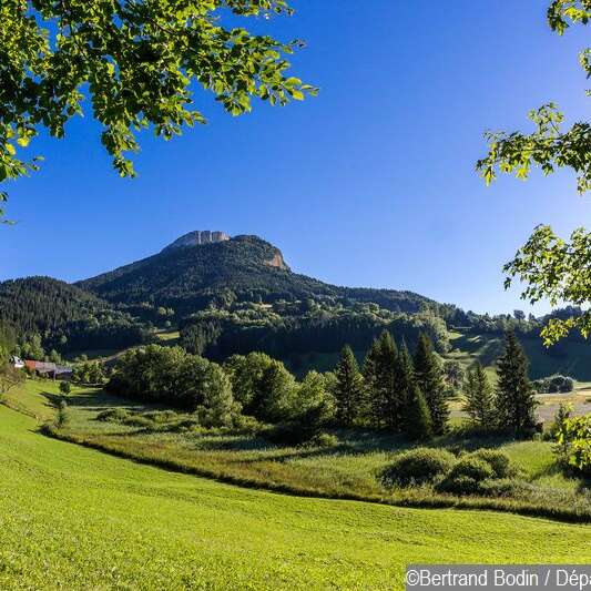 Espace naturel sensible du Marais des Sagnes