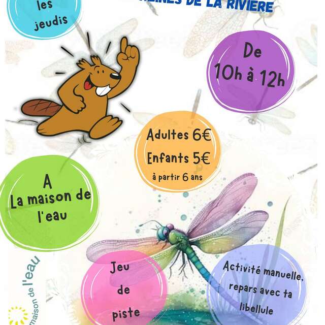 Sortie nature - Libellule et demoiselles, les reines de la rivière
