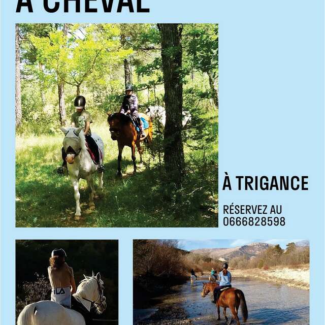 Promenades à cheval avec les chevaux de Jabron