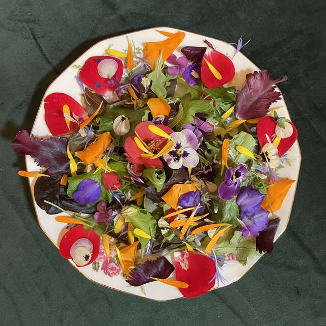 Antik’fêtes Ô musée - Éclosion printanière : Des fleurs à croquer, des plantes à savourer