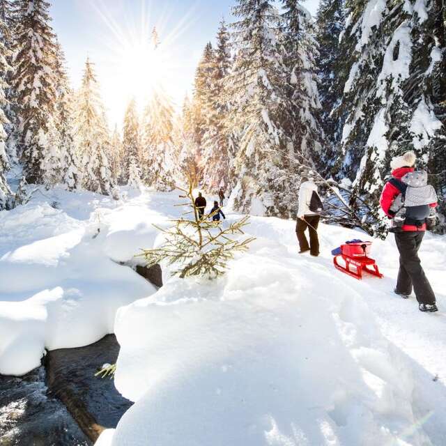Morgins - Vallon de They
