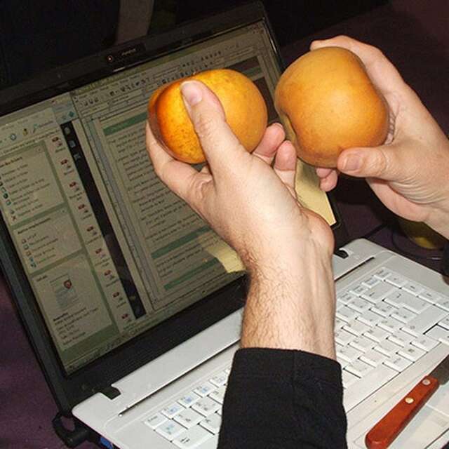 Atelier - Petit pomologue