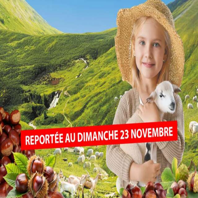 Festa della castagna