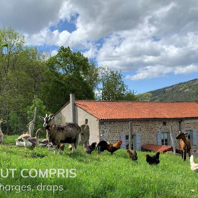 Au Temps Passé