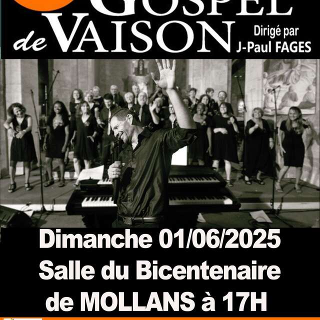 Concert by the Vaison Gospel Choir
