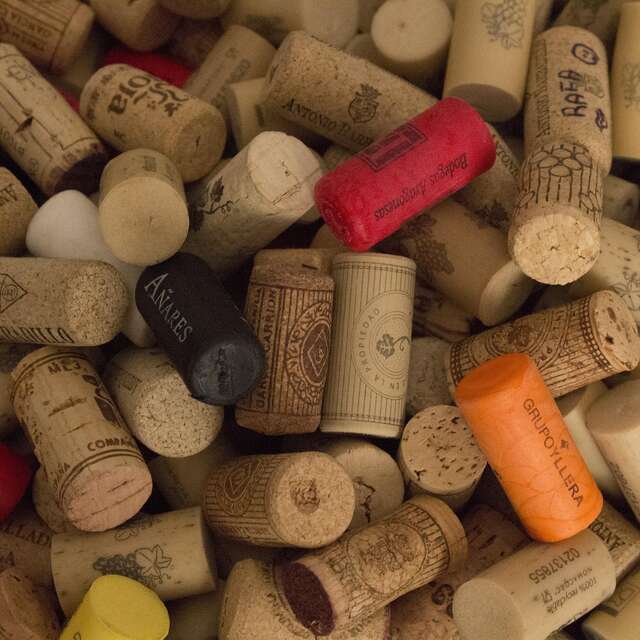 Oenology meeting