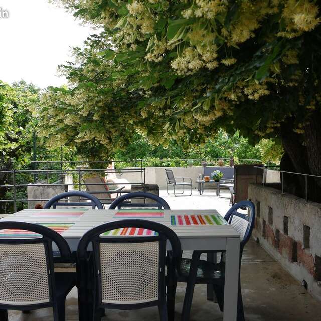 À l'ombre du tilleul