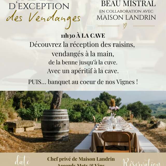 The Harvest Special Menu - Domaine Beau Mistral