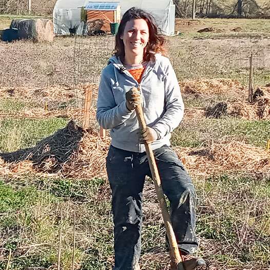 Les herbes de Johanne