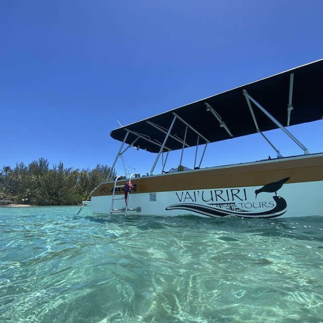Vaiuriri Tours