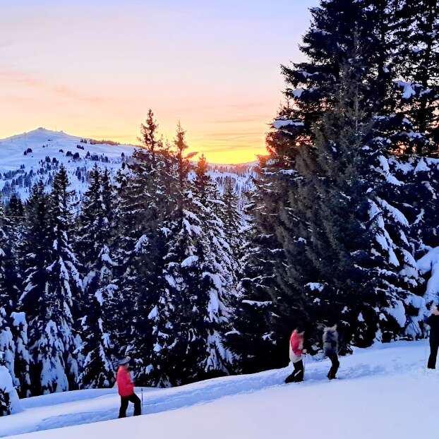 Crépuscule à la savoyarde