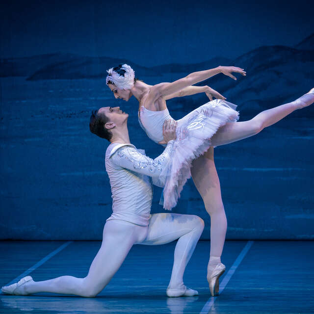 Festival International de Ballet : Le Lac des Cygnes