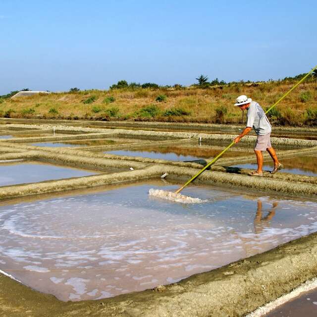 Visite du Marais du Roc