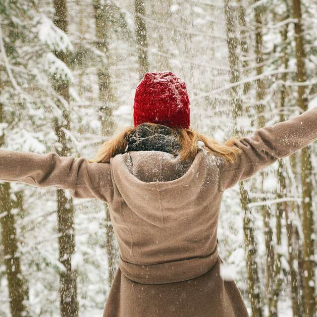 Forest bath and conscious walking