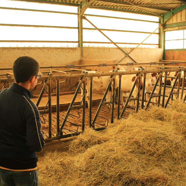 Ferme aux 4 vents - visite en famille