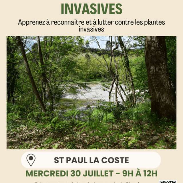 La Chasse aux plantes invasives