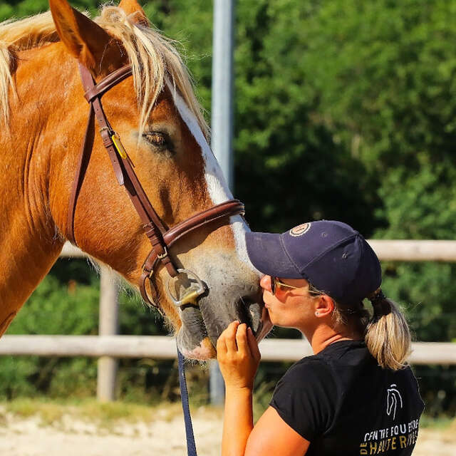 Centre équestre de Hauterives