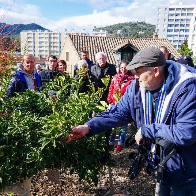 Atelier - Créer son verger vivrier