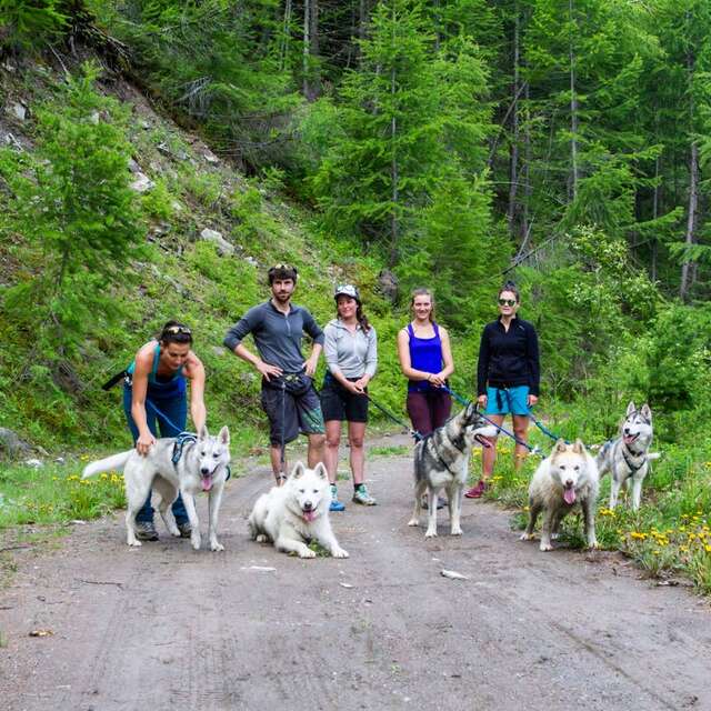 Cani-randonnée à Valpréveyre
