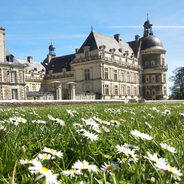 Juego de observación "En busca de los huevos de oro" en el Château de Serrant