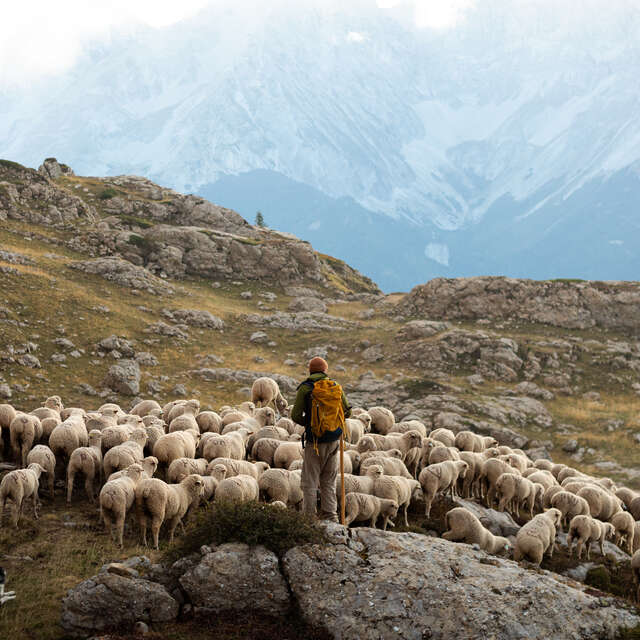 Zen Agritude : conférence sur les interactions en milieux montagnards