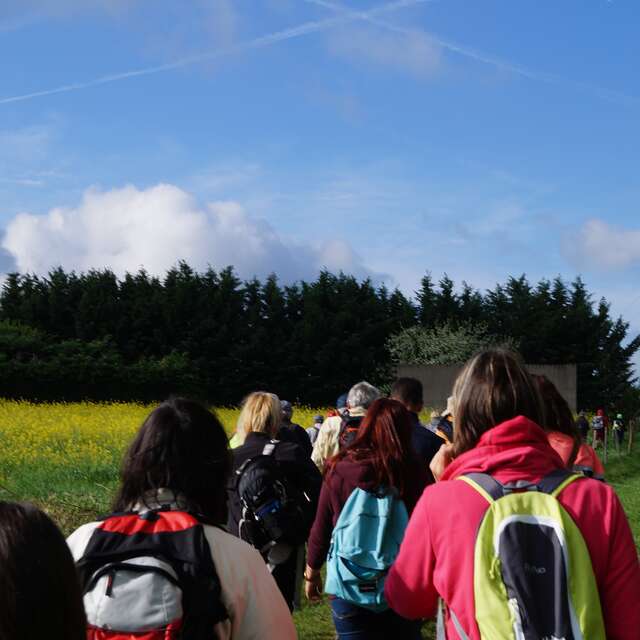 Marche de la Cyriade