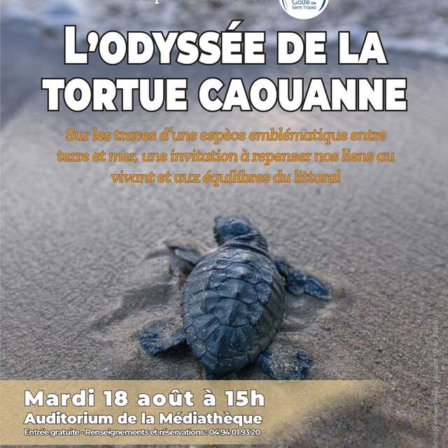 Diaporama interactif : l'Odyssée de la tortue caouanne