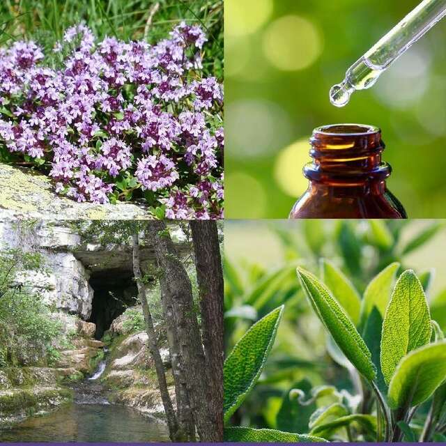 Distillerie du Bois de Païolive "Flor'Ardèche"