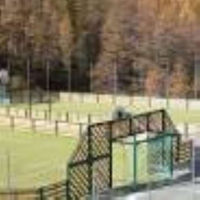 Terrains multisports