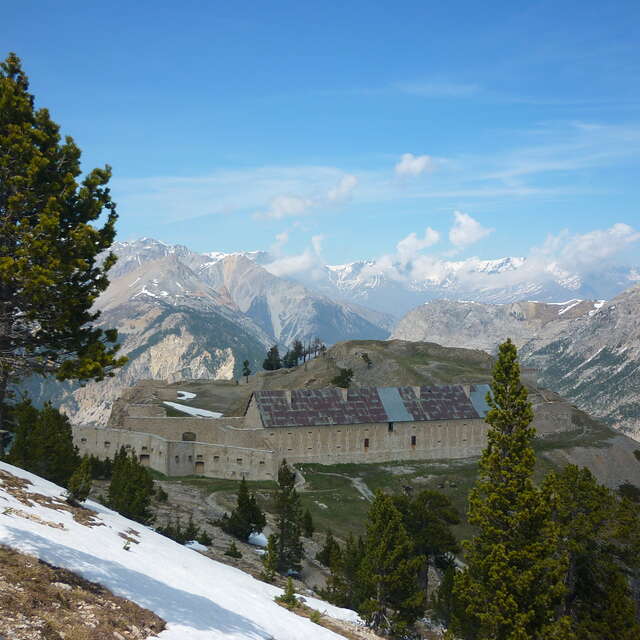Le Fort de l'Olive