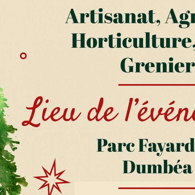 Marché et Vide grenier de Noël au Parc Fayard