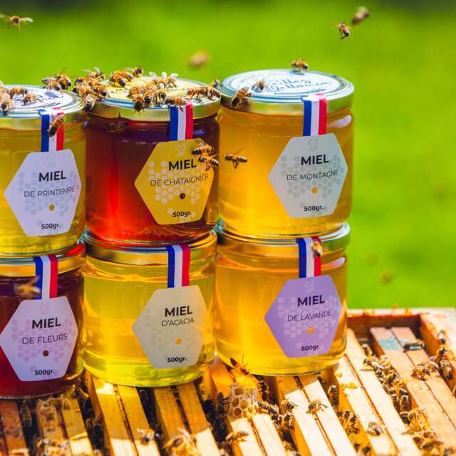 Initiation à la dégustation aux Abeilles de Méllonia