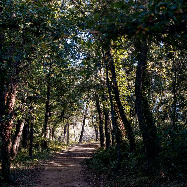 Rundweg 