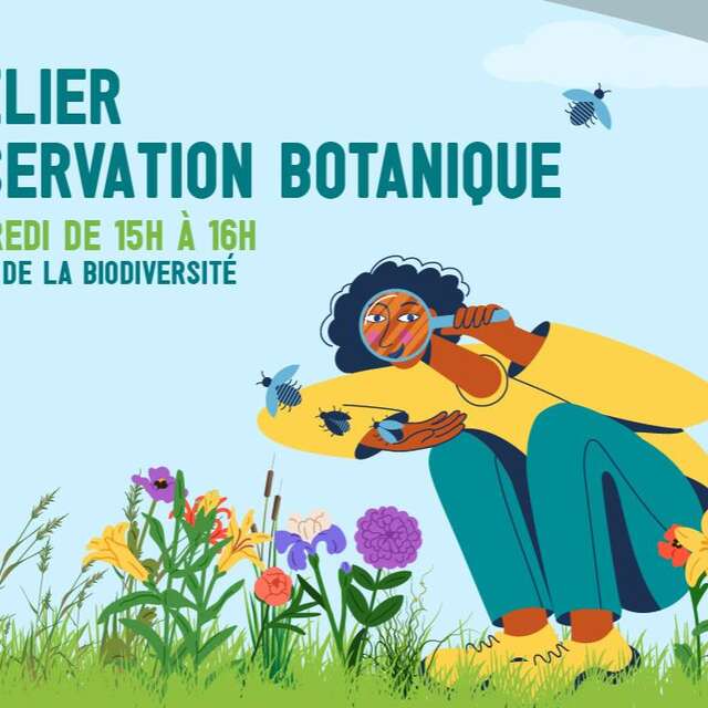 Atelier d'observation botanique spécial Gonatostylis vieillardi